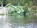 Johnstown Castle - 027